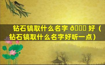 钻石镐取什么名字 🐋 好（钻石镐取什么名字好听一点）